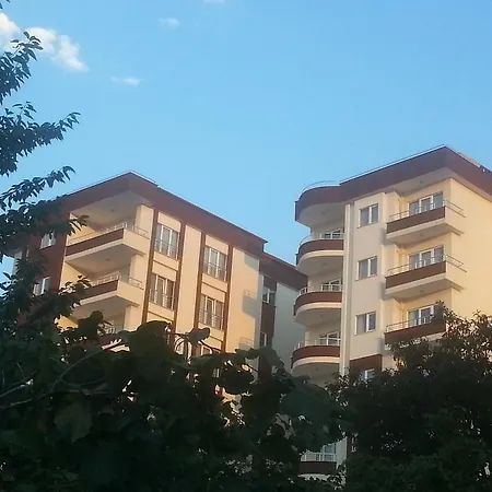 Royal Life 2* Kaşüstü