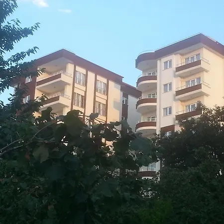 Royal Life Kaşüstü
