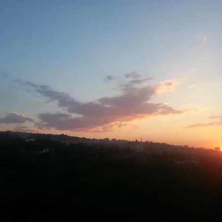 Royal Life 2* Kaşüstü